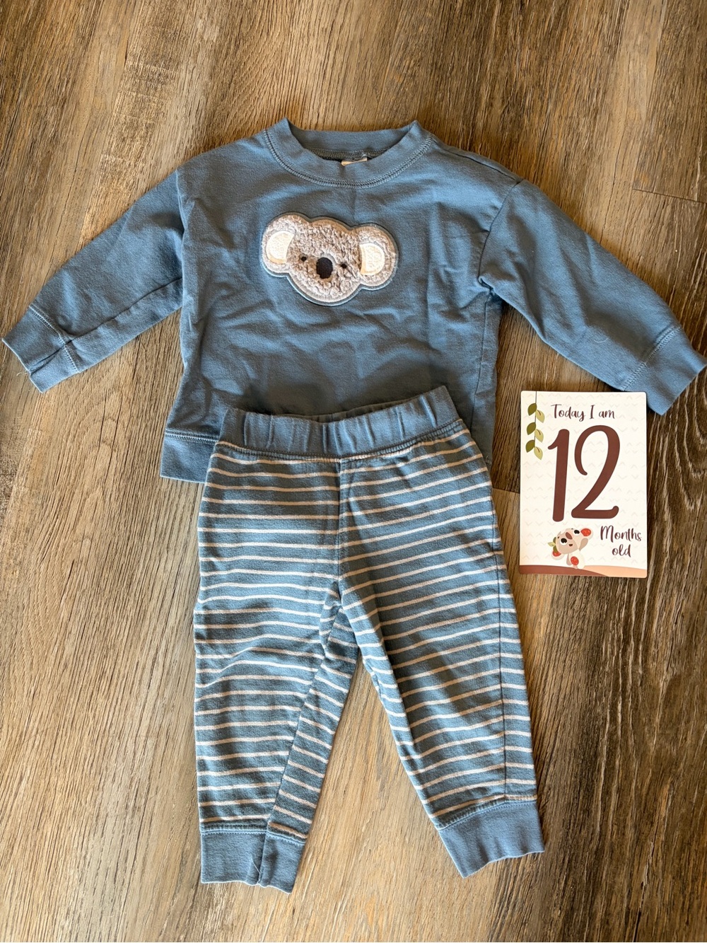 Blue Baby Koala Applique Two-Piece Set